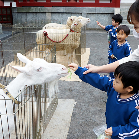 移動動物園